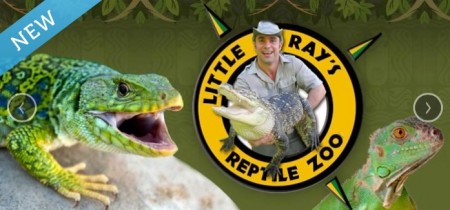 Little Ray's Reptile Zoo