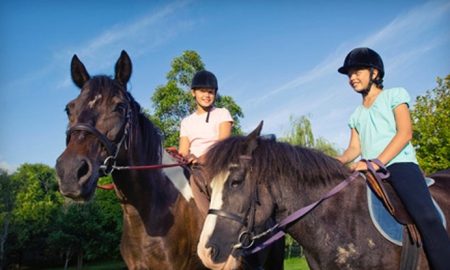 HeronCrest Stables